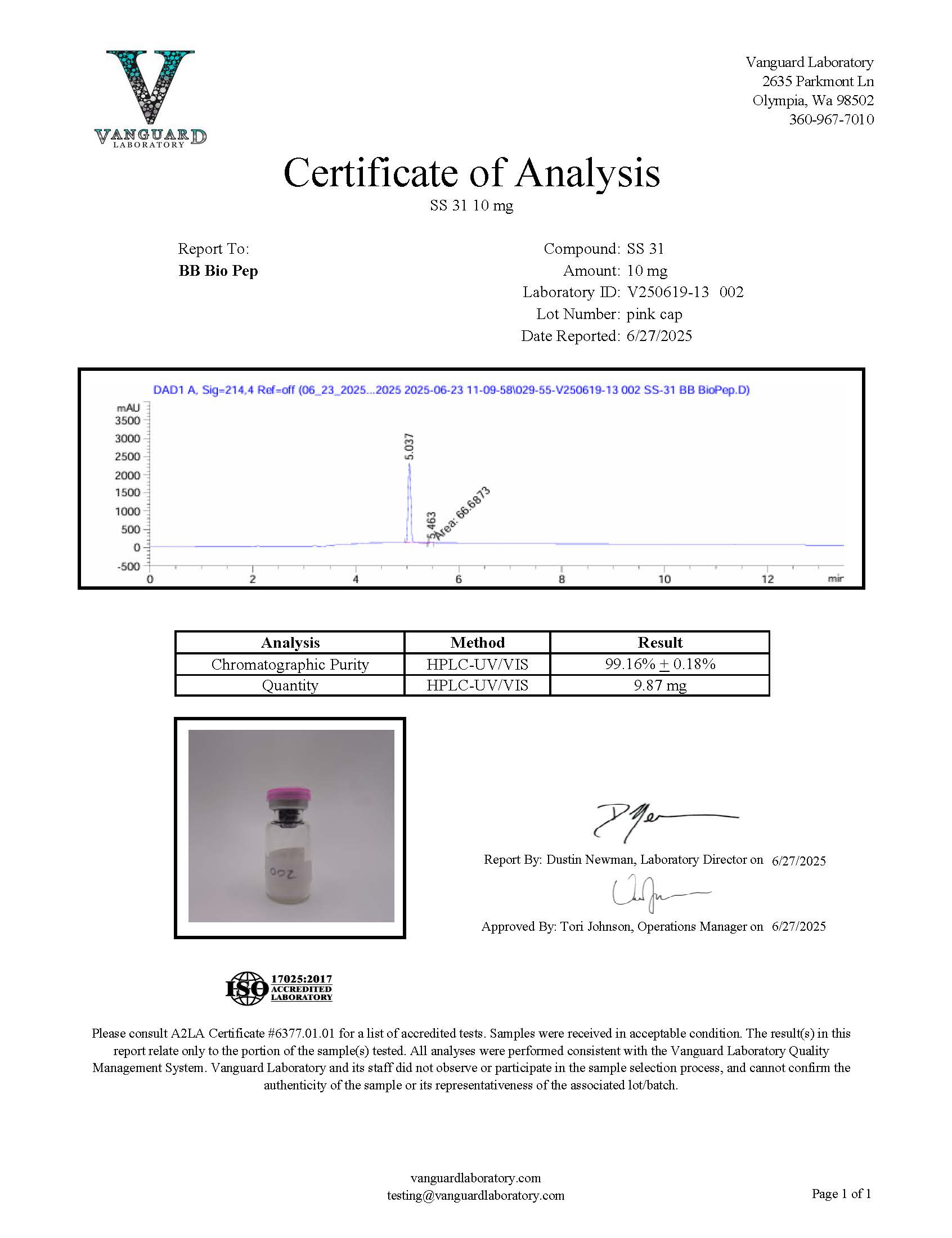 SS31 10 ELAMIPRETIDE - Image 2